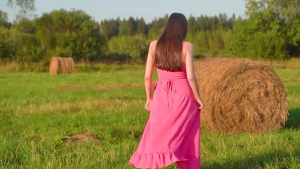 若い女性は干し草で畑を歩いています 高品質の4K映像 — ストック動画