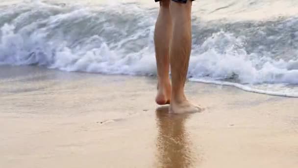 Männerbeine Gehen Großaufnahme Ins Meer Videos Hoher Qualität — Stockvideo