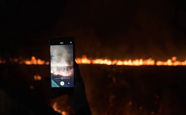 Shooting on the phone big forest fire. High quality photo