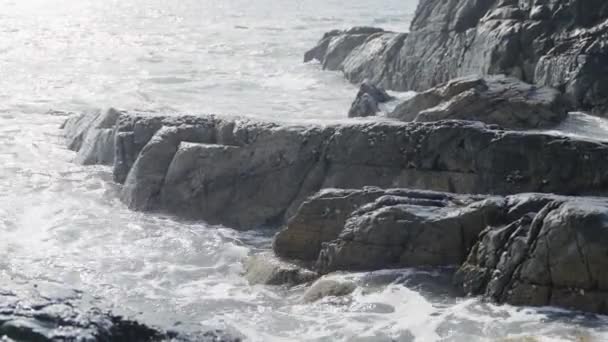 Costa Rocciosa Umida Ferma Oceano Infuriato Filmati Alta Qualità — Video Stock