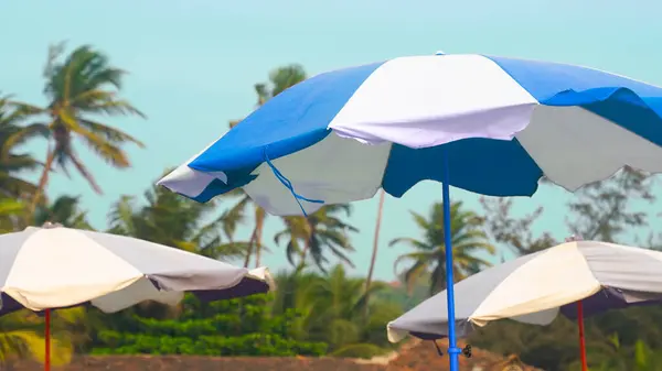 Beach umbrellas in the wind against of palm trees. High quality photo