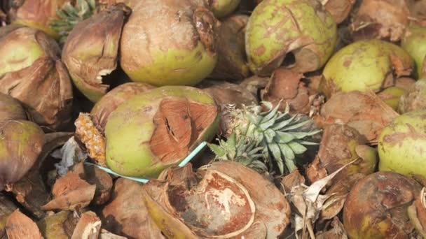 Hromada Odpadků Prázdných Kokosových Ořechů Plastovou Slámou Vysoce Kvalitní Video — Stock video