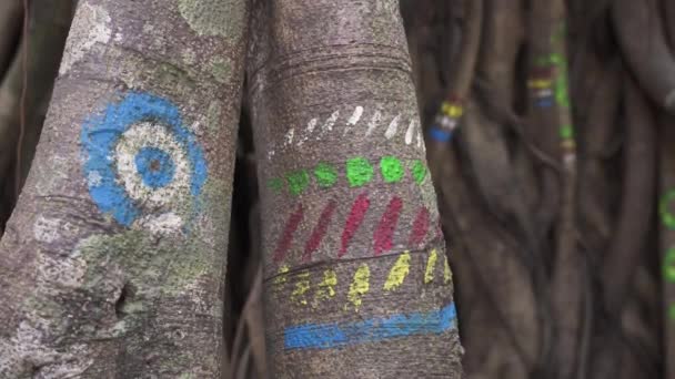 Trail Markers Tekeningen Bomen Bosoriëntatie Hoge Kwaliteit Videobeelden — Stockvideo
