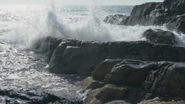 岩と波が交差する海岸線です 高品質の4K映像 — ストック動画