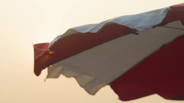 Plaj kırmızı şemsiyesi güneş ışığına karşı. Yüksek kalite 4k görüntü