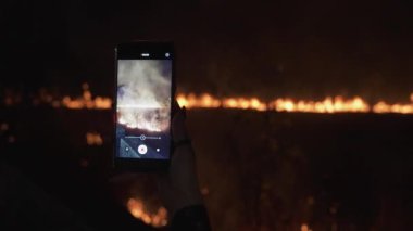 Büyük orman yangınında telefonla ateş etmek. Yüksek kalite 4k görüntü