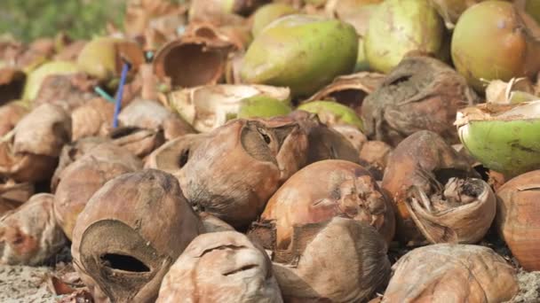플라스틱 밀짚을 버려진 마시는 코코넛 고품질 비디오 — 비디오
