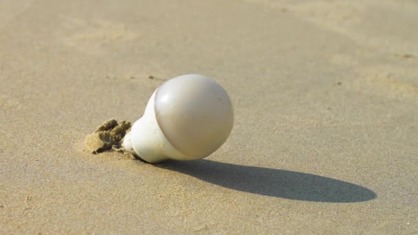 Energiebesparende Plastic Lamp Steekt Uit Het Zand Aangespoeld Door Het — Stockvideo