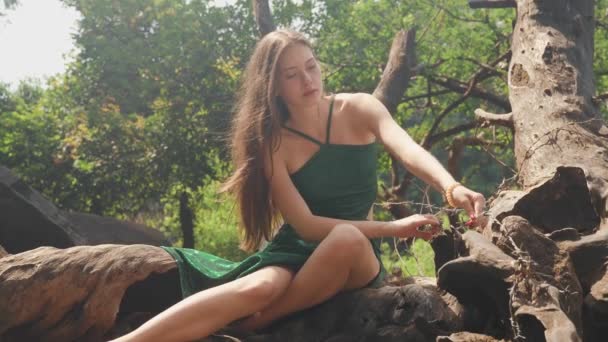 Ung Kvinna Håller Taggtråd Lindad Runt Ett Tropiskt Träd Högkvalitativ — Stockvideo