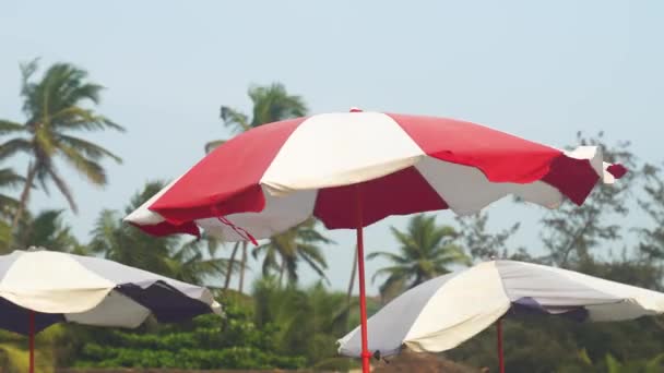Resort Beach Red Sunshade Palm Trees High Quality Footage — Stock Video