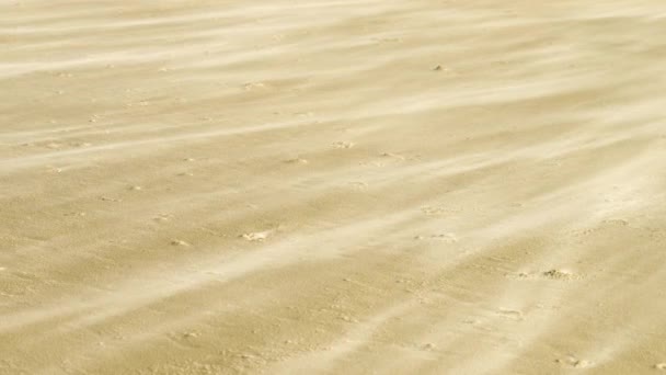 Ветер Налетел Желтую Песчаную Дюну Высококачественный Видеоматериал — стоковое видео