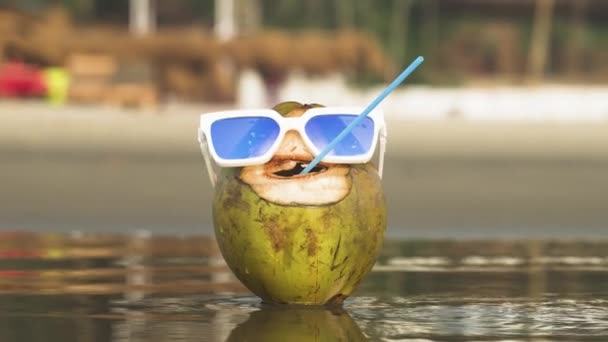 해변에 선글라스를 코코넛 고품질 비디오 — 비디오