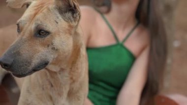 Genç bir kadın sokak köpeğiyle oturuyor ve ikisi de aynı yöne bakıyor. Yüksek kalite 4k video kaydı