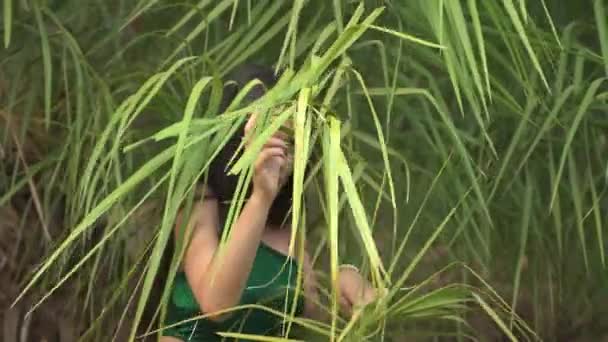 Gelukkige Jonge Vrouw Groen Zwempak Omgeven Door Tropische Jungle Hoge — Stockvideo