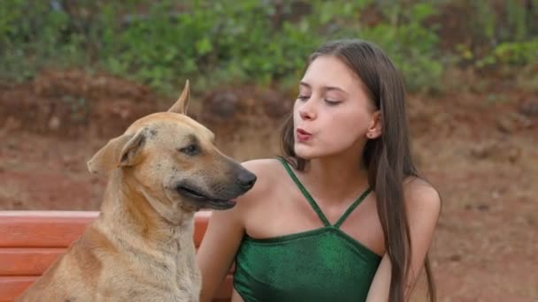 Χαρούμενο Κορίτσι Που Παίζει Ένα Σκύλο Στο Πάρκο Υψηλής Ποιότητας — Αρχείο Βίντεο