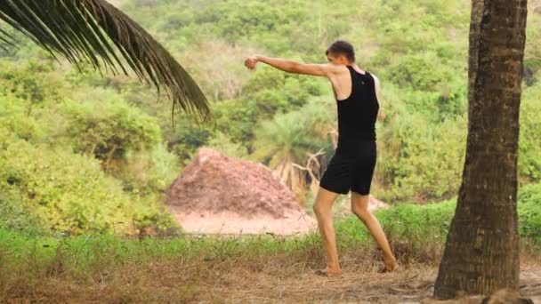 풍경의 배경에 권투에서 고품질 비디오 — 비디오