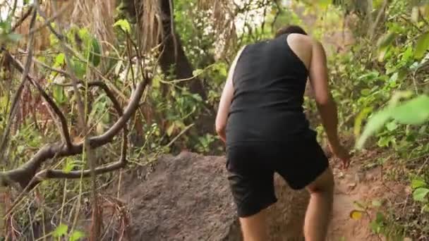 정글에서 바위를 고품질 비디오 — 비디오