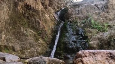 Kayalarla dolu bir ormanda çağlayan bir şelale. Yüksek kalite fotoğraf