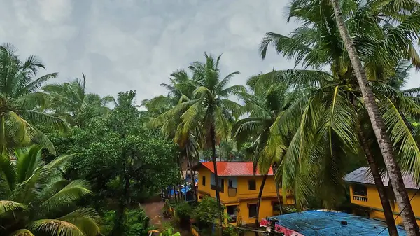 Palm tree and village on the tropical rain. High quality 4k footage