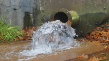 Kirli su beton drenaj borusundan doğal çevreye akıyor. Yüksek kalite 4k görüntü