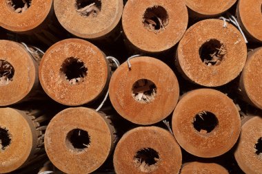 Daire şeklinde odun yığını..