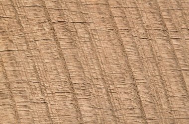 Desen ve arkaplan için ahşap dokusudur..