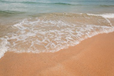 Sahilde bir deniz dalgası var..