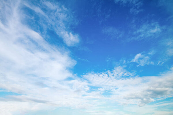 это мягкое белое облако на голубом небе.