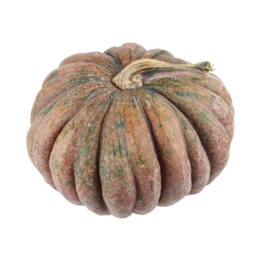 Beyaz bir balkabağı..