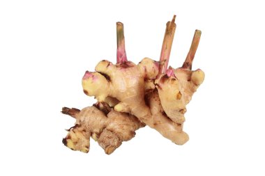 Beyaz üzerine izole edilmiş taze zencefil kökü..