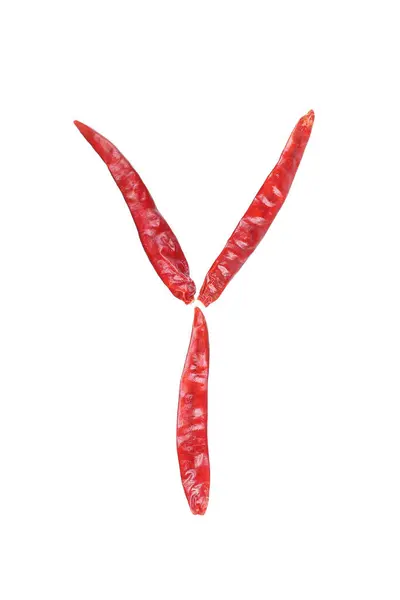 stock image it is capital letter Y by dry chili isolated on white.