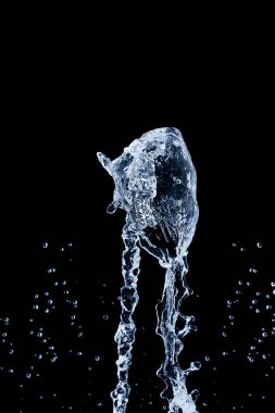 Siyah üzerine izole edilmiş su sıçratıyor..