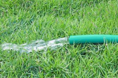 Lastik tüp kullanarak yeşil çimenleri sulamak..