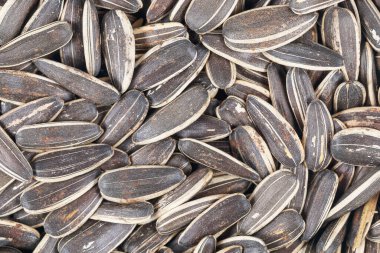 Desen ve arkaplan için ayçekirdeği..