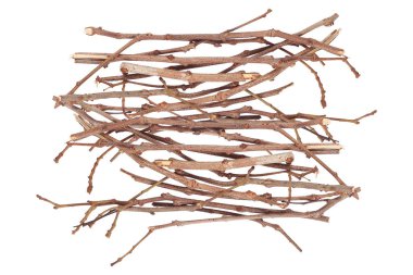 Beyaz üzerinde kuru bir daldır..