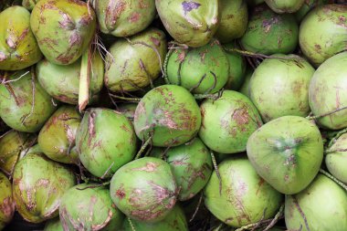 Desen ve arkaplan için yeşil hindistan cevizi yığını..