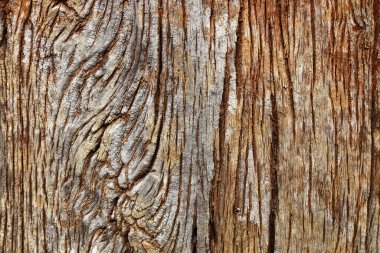 Eski ahşap arka plan..