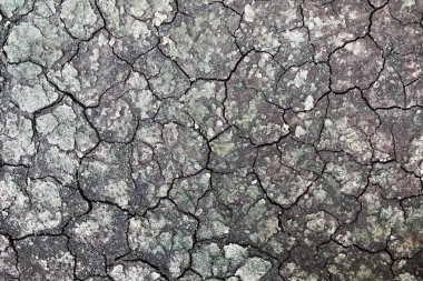 Islak çatlak zemin şablon ve arkaplan için.