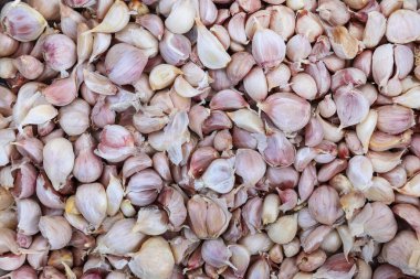 Sarımsak desen ve arka plan için..