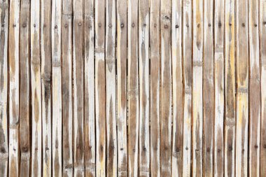 Çivili kuru bambu çitler..