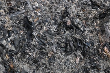 Yaprak ve ahşaptan gri ve siyah küller desen ve arkaplan için.