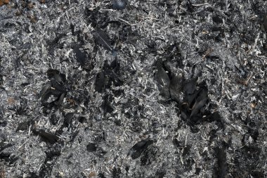 Yaprak ve ahşaptan gri ve siyah küller desen ve arkaplan için.