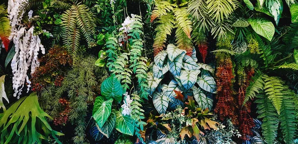 红花和绿叶背景 植物生长或自然壁纸 装饰用的装饰树 美丽的自然概念 免版税图库图片