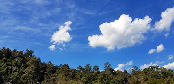 Céu Azul Bonito Com Nuvem Branca Árvore Verde Floresta Selva — Fotografia de Stock