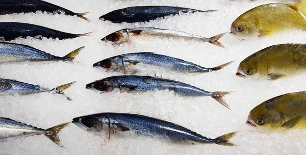 Frische Makrelen Und Fisch Tiefgefroren Oder Eingefroren Werden Auf Dem — Stockfoto