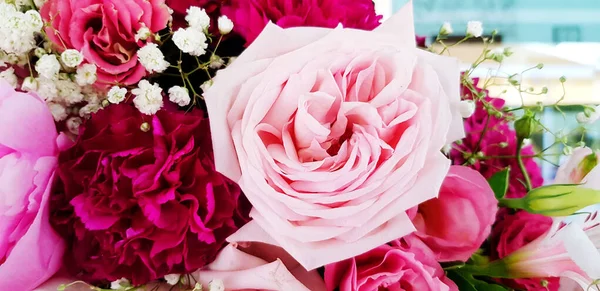 Beautiful pink rose with another flower for background. Beauty of Nature, Natural wallpaper, Celebration, Gift, love or lover and Valentine day concept