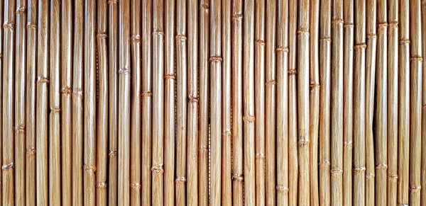 Brown Bamboo wall for background. Art of pattern, Wallpaper, Natural material and Exterior design concept