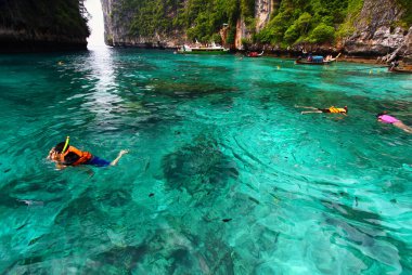 Andaman Denizi, Krabi, Tayland 'daki birçok Hint Pasifik çavuş balığı arasında dalış maskesiyle seyahat eden Asyalı insanlar veya Turizm Grubu şnorkelle yüzüyor. Spor, Aktivite ve Doğanın Güzelliği 