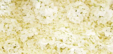 Arka plan için güzel beyaz çiçek deseni. Duvar kağıdı, düğün partisi ve doğanın güzelliği konsepti. 