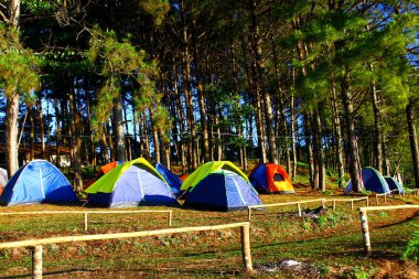 Birçok renkli turist kampı çadırı ya da çam ormanlarında Doi Ang Khang, Chiangmai, Tayland. Kuzey Tayland Doğa ve Aktivite Güzelliği ve Tarihi Kış Zamanı konsepti. 